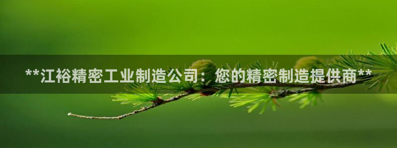 彩神大发是不是人为操作：**江裕精密工业制造公司：您的精密制造提供商**
