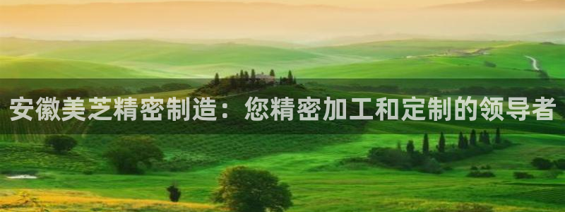 彩神vii官网大赢家：安徽美芝精密制造：您精密加工和定制的领导者