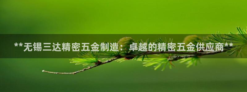 彩神8官网下：**无锡三达精密五金制造：卓越的精密五金供应商**