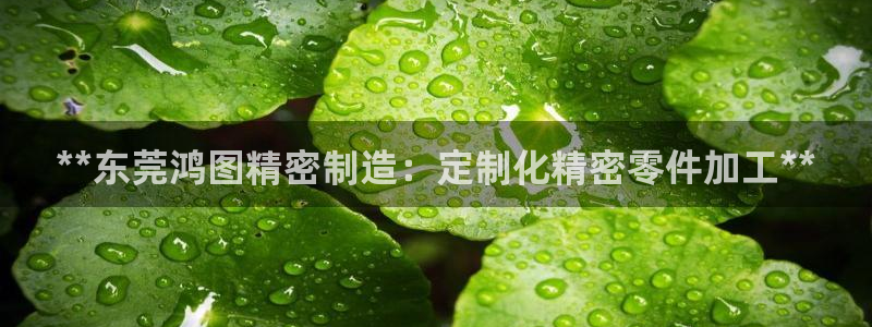 彩神v8下载app：**东莞鸿图精密制造：定制化精密零件加工**