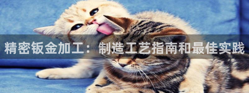 彩神v彩搜狗：精密钣金加工：制造工艺指南和最佳实践