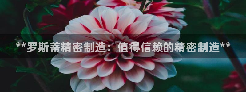 彩神8彩平台：**罗斯蒂精密制造：值得信赖的精密制造**
