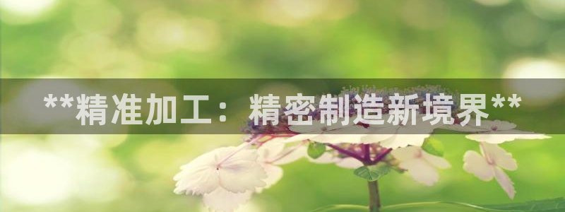 彩神是真的吗：**精准加工：精密制造新境界**