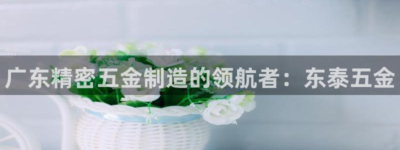 彩神v秘聊号码