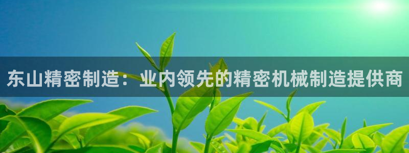 彩神V8有限公司