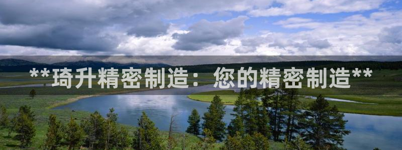 彩神数码科技有限公司