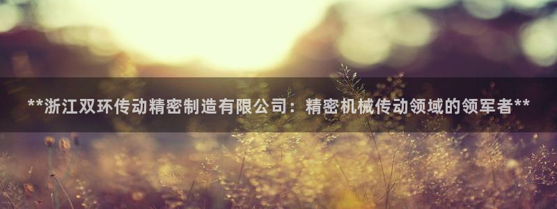 彩神ix可靠吗