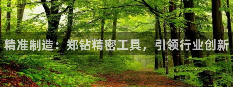 彩神v|