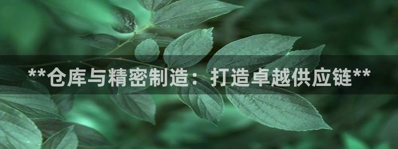 彩神8彩平台官网