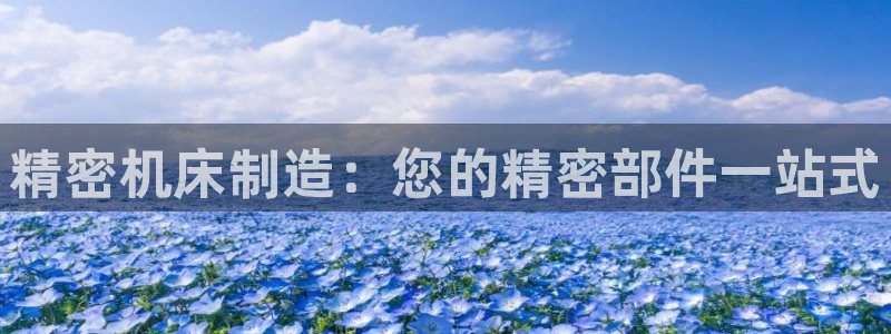 新版彩神v8登录