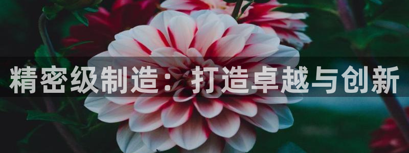 彩神赢钱了吗