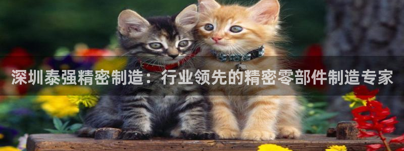 彩神app赚钱是真是假