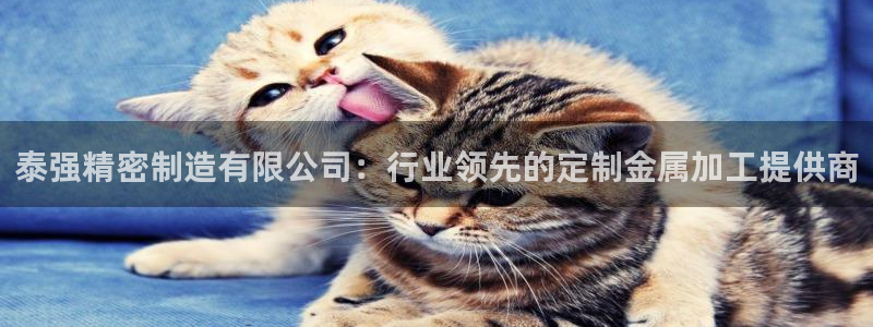 彩神8是正规平台吗知乎