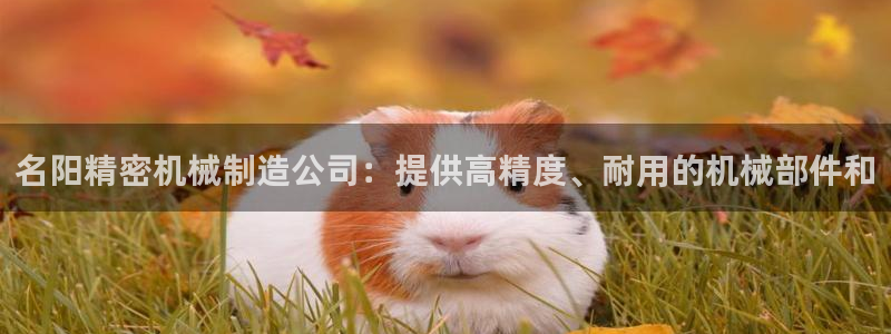 彩神大发黑平台