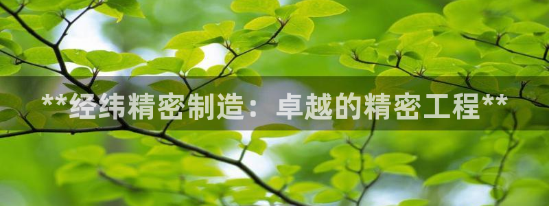 彩神vll购彩大厅大众