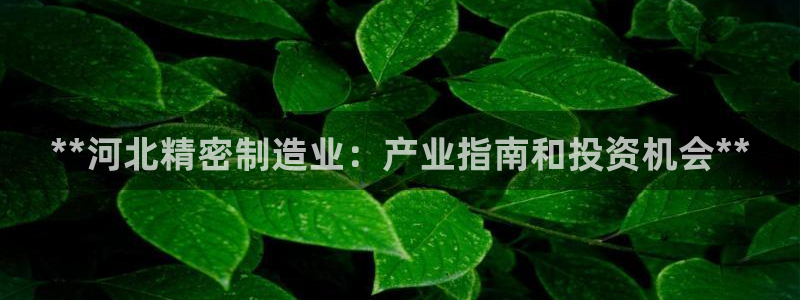 彩神vip购彩