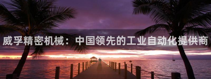 彩神v8iii