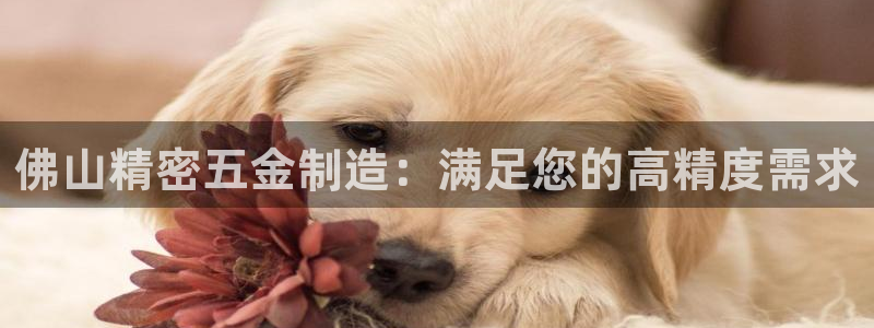彩神vii手游下载