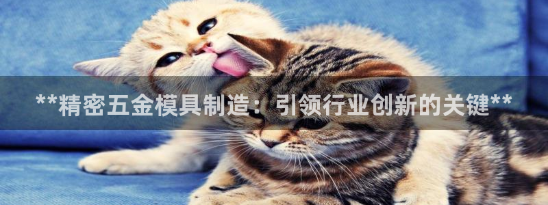 彩神V集团有限公司