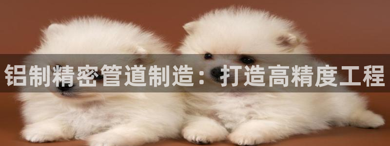 彩神输的钱是赌博还是诈骗