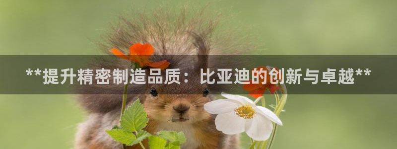 彩神v违法么