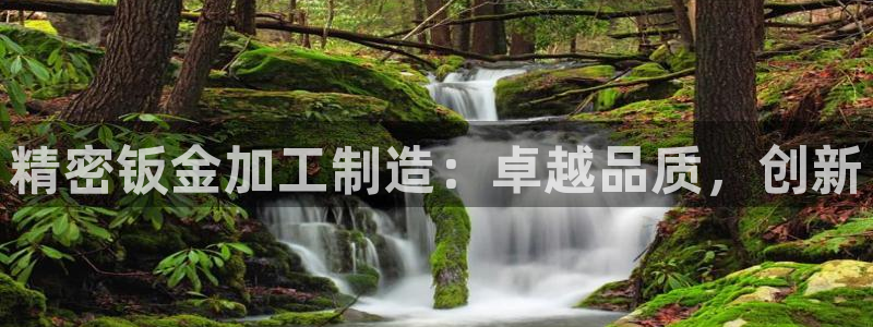 彩神v8购彩大厅登