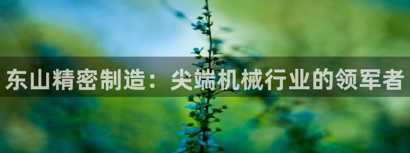 有谁知道彩神争霸的网址