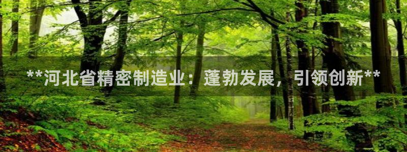 彩神是正规平台吗知乎