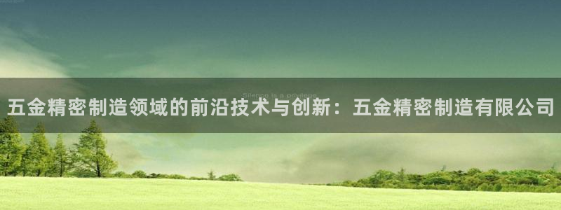 彩神是真的吗：五金精密制造领域的前沿技术与创新：五金精密制造有限公司