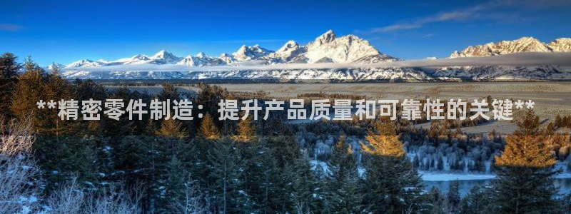 彩神ll能赚钱吗：**精密零件制造：提升产品质量和可靠性的关键**