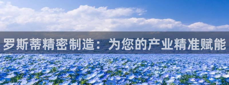 彩神8是正规平台吗：罗斯蒂精密制造：为您的产业精准赋能