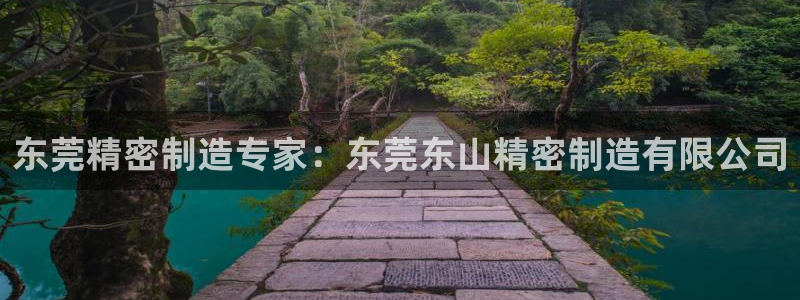 彩神ix可靠吗：东莞精密制造专家：东莞东山精密制造有限公司