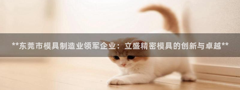 彩神vll购彩大厅：**东莞市模具制造业领军企业：立盛精密模具的创新与卓越**