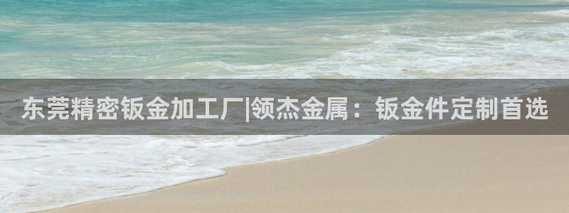 彩神v天天：东莞精密钣金加工厂|领杰金属：钣金件定制首选