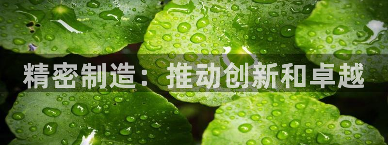 彩神购彩-购彩大厅入口：精密制造：推动创新和卓越