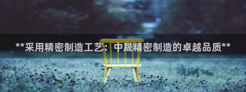彩神新微聊：**采用精密制造工艺：中晟精密制造的卓越品质**