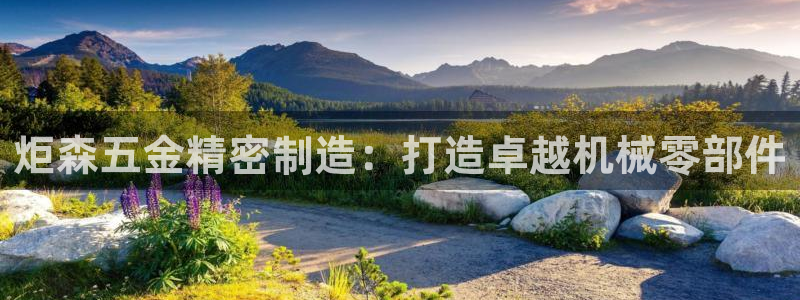 彩神平台可以破解吗：炬森五金精密制造：打造卓越机械零部件