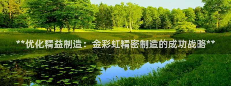 彩神vll购彩大厅：**优化精益制造：金彩虹精密制造的成功战略**