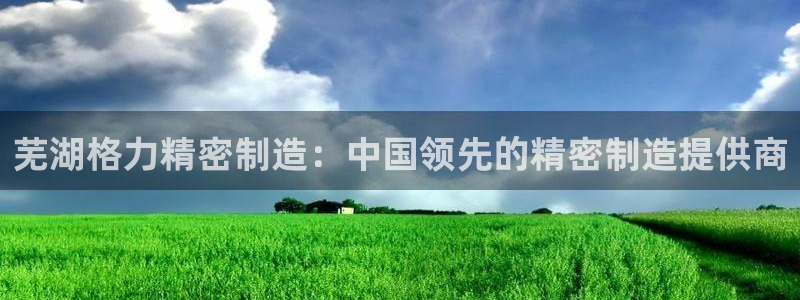 彩神大发是不是人为操作：芜湖格力精密制造：中国领先的精密制造提供商