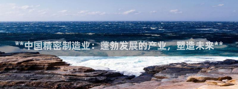 彩神v8手机客户端怎么下载：**中国精密制造业：蓬勃发展的产业，塑造未来**