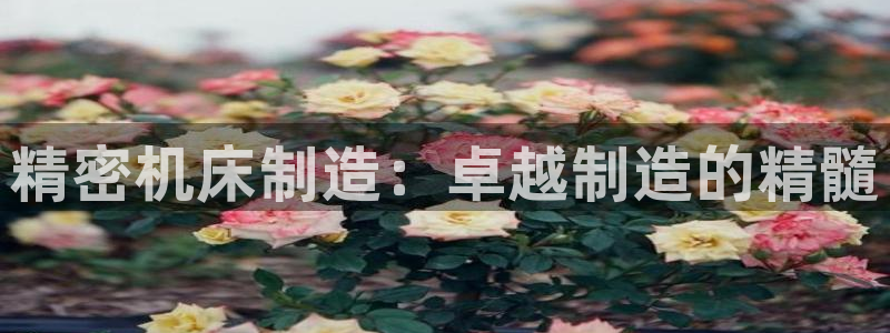 彩神v8iii：精密机床制造：卓越制造的精髓