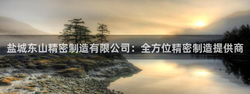 彩神vii官网：盐城东山精密制造有限公司：全方位精密制造提供商