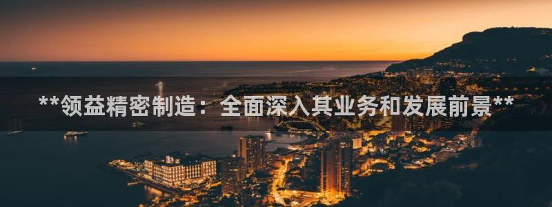 彩神v8是真的挣钱吗知乎：**领益精密制造：全面深入其业务和发展前景**