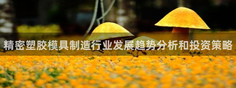 彩神v8是真的挣钱吗安全吗：精密塑胶模具制造行业发展趋势分析和投资策略