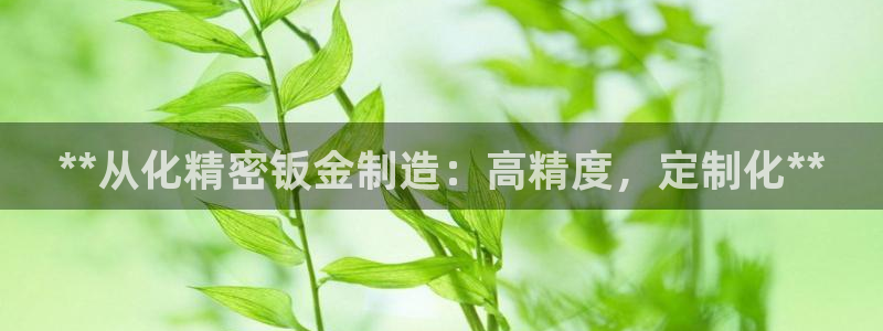 彩神大发是不是人为操作：**从化精密钣金制造：高精度，定制化**