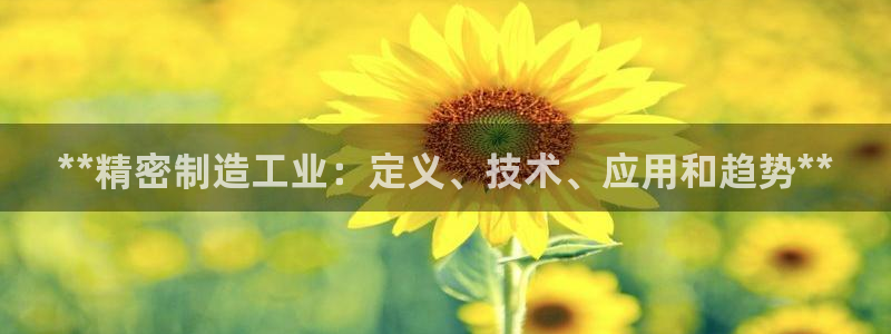 彩神购彩-购彩大厅入口500：**精密制造工业：定义、技术、应用和趋势**