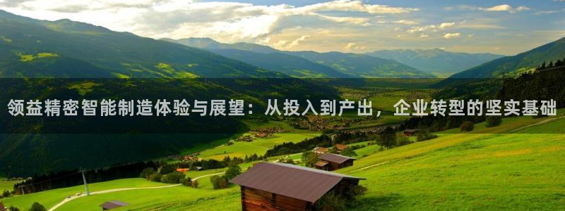 彩神v8下载app：领益精密智能制造体验与展望：从投入到产出，企业转型的坚实基础