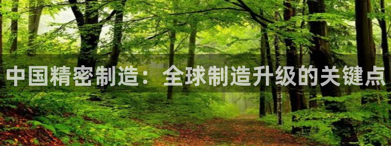 彩神ⅴll用户登录：中国精密制造：全球制造升级的关键点