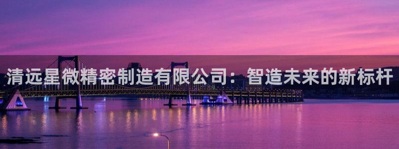 彩神到底能不能赚钱：清远星微精密制造有限公司：智造未来的新标杆