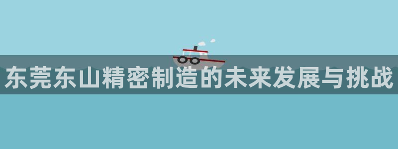 彩神x平台靠什么盈利：东莞东山精密制造的未来发展与挑战